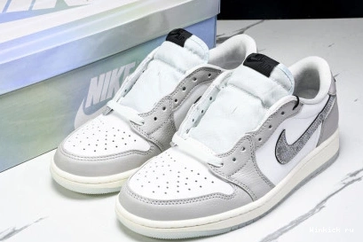 Low 1 AIR JORDAN 1207